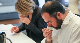 Judging the World’s Olive Oils