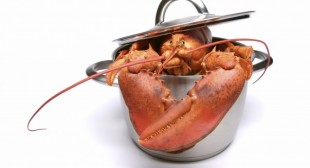 Lobster delivery opens a Pandora’s box of issues