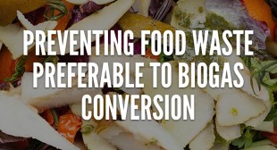 Preventing Food Waste is Preferable to Biogas Conversion, Study Says